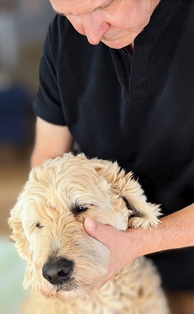 Untersuchung der Halswirbelsäule image-516