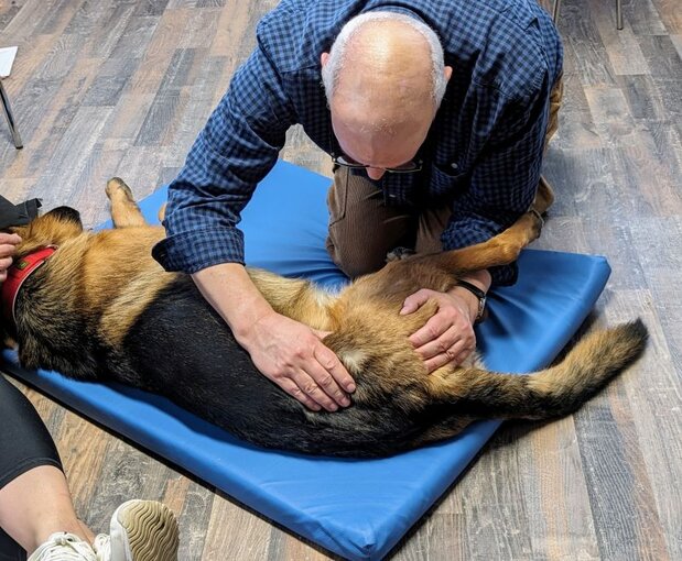 Korrektur eines blockierten Beckens rechts image-517